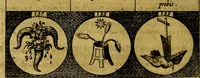 An illustration from Emblemata sive symbola a principibus, viris eeclesiasticis [sic] ac militaribus aliisque vsurpanda. Deuises ou emblemes pour princes, gens d'Eglise, gens de guerre, & aultres (1624)