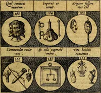 An illustration from Emblemata sive symbola a principibus, viris eeclesiasticis [sic] ac militaribus aliisque vsurpanda. Deuises ou emblemes pour princes, gens d'Eglise, gens de guerre, & aultres (1624)