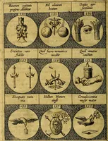 An illustration from Emblemata sive symbola a principibus, viris eeclesiasticis [sic] ac militaribus aliisque vsurpanda. Deuises ou emblemes pour princes, gens d'Eglise, gens de guerre, & aultres (1624)