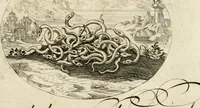 An illustration from Emblemata varia Gregori KleppisI, poetae l. caesarij : incisa aeri, aphorismis et epigrammatis illustrata (1623)