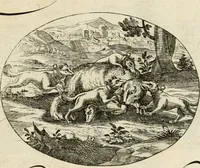 An illustration from Emblemata varia Gregori KleppisI, poetae l. caesarij : incisa aeri, aphorismis et epigrammatis illustrata (1623)