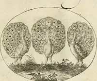 An illustration from Emblemata varia Gregori KleppisI, poetae l. caesarij : incisa aeri, aphorismis et epigrammatis illustrata (1623)