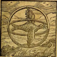 Picture 80 of 213 from Emblemata V.C. Andreae Alciati Mediolanensis iurisconsulti : cum facili & compendiosa explicatione, qua obscura illustrantur, dubiaq́ue omnia soluuntur, (1622), leaf 100