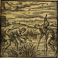 An illustration from Emblemata V.C. Andreae Alciati Mediolanensis iurisconsulti : cum facili & compendiosa explicatione, qua obscura illustrantur, dubiaq́ue omnia soluuntur, (1622)