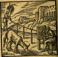 An illustration from Emblemata V.C. Andreae Alciati Mediolanensis iurisconsulti : cum facili & compendiosa explicatione, qua obscura illustrantur, dubiaq́ue omnia soluuntur, (1622)