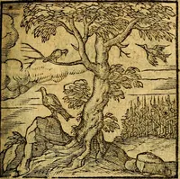 An illustration from Emblemata V.C. Andreae Alciati Mediolanensis iurisconsulti : cum facili & compendiosa explicatione, qua obscura illustrantur, dubiaq́ue omnia soluuntur, (1622)