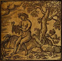 An illustration from Emblemata V.C. Andreae Alciati Mediolanensis iurisconsulti : cum facili & compendiosa explicatione, qua obscura illustrantur, dubiaq́ue omnia soluuntur, (1622)
