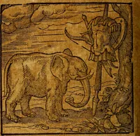 An illustration from Emblemata V.C. Andreae Alciati Mediolanensis iurisconsulti : cum facili & compendiosa explicatione, qua obscura illustrantur, dubiaq́ue omnia soluuntur, (1622)