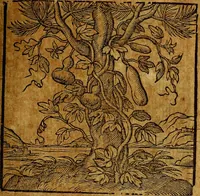 An illustration from Emblemata V.C. Andreae Alciati Mediolanensis iurisconsulti : cum facili & compendiosa explicatione, qua obscura illustrantur, dubiaq́ue omnia soluuntur, (1622)