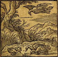 An illustration from Emblemata V.C. Andreae Alciati Mediolanensis iurisconsulti : cum facili & compendiosa explicatione, qua obscura illustrantur, dubiaq́ue omnia soluuntur, (1622)