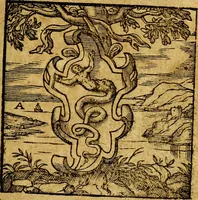 An illustration from Emblemata V.C. Andreae Alciati Mediolanensis iurisconsulti : cum facili & compendiosa explicatione, qua obscura illustrantur, dubiaq́ue omnia soluuntur, (1622)