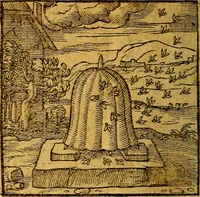 Picture 148 of 213 from Emblemata V.C. Andreae Alciati Mediolanensis iurisconsulti : cum facili & compendiosa explicatione, qua obscura illustrantur, dubiaq́ue omnia soluuntur, (1622), leaf 181