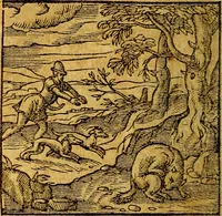 An illustration from Emblemata V.C. Andreae Alciati Mediolanensis iurisconsulti : cum facili & compendiosa explicatione, qua obscura illustrantur, dubiaq́ue omnia soluuntur, (1622)