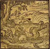 An illustration from Emblemata V.C. Andreae Alciati Mediolanensis iurisconsulti : cum facili & compendiosa explicatione, qua obscura illustrantur, dubiaq́ue omnia soluuntur, (1622)
