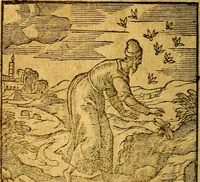 An illustration from Emblemata V.C. Andreae Alciati Mediolanensis iurisconsulti : cum facili & compendiosa explicatione, qua obscura illustrantur, dubiaq́ue omnia soluuntur, (1622)