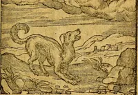 An illustration from Emblemata V.C. Andreae Alciati Mediolanensis iurisconsulti : cum facili & compendiosa explicatione, qua obscura illustrantur, dubiaq́ue omnia soluuntur, (1622)