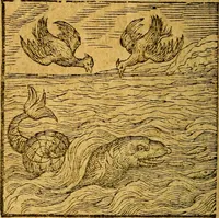 An illustration from Emblemata V.C. Andreae Alciati Mediolanensis iurisconsulti : cum facili & compendiosa explicatione, qua obscura illustrantur, dubiaq́ue omnia soluuntur, (1622)