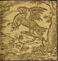 An illustration from Emblemata V.C. Andreae Alciati Mediolanensis iurisconsulti : cum facili & compendiosa explicatione, qua obscura illustrantur, dubiaq́ue omnia soluuntur, (1622)