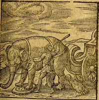 An illustration from Emblemata V.C. Andreae Alciati Mediolanensis iurisconsulti : cum facili & compendiosa explicatione, qua obscura illustrantur, dubiaq́ue omnia soluuntur, (1622)