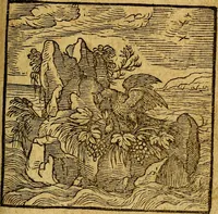 An illustration from Emblemata V.C. Andreae Alciati Mediolanensis iurisconsulti : cum facili & compendiosa explicatione, qua obscura illustrantur, dubiaq́ue omnia soluuntur, (1622)