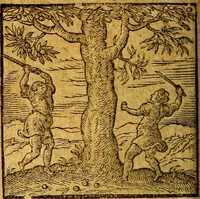 An illustration from Emblemata V.C. Andreae Alciati Mediolanensis iurisconsulti : cum facili & compendiosa explicatione, qua obscura illustrantur, dubiaq́ue omnia soluuntur, (1622)
