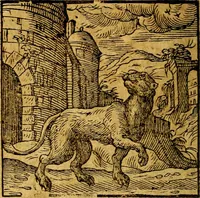 An illustration from Emblemata V.C. Andreae Alciati Mediolanensis iurisconsulti : cum facili & compendiosa explicatione, qua obscura illustrantur, dubiaq́ue omnia soluuntur, (1622)