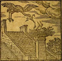 Picture 33 of 213 from Emblemata V.C. Andreae Alciati Mediolanensis iurisconsulti : cum facili & compendiosa explicatione, qua obscura illustrantur, dubiaq́ue omnia soluuntur, (1622), leaf 51