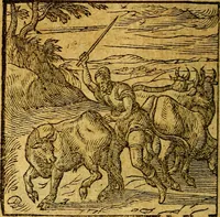 Picture 37 of 213 from Emblemata V.C. Andreae Alciati Mediolanensis iurisconsulti : cum facili & compendiosa explicatione, qua obscura illustrantur, dubiaq́ue omnia soluuntur, (1622), leaf 55