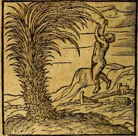 An illustration from Emblemata V.C. Andreae Alciati Mediolanensis iurisconsulti : cum facili & compendiosa explicatione, qua obscura illustrantur, dubiaq́ue omnia soluuntur, (1622)