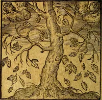 Picture 45 of 213 from Emblemata V.C. Andreae Alciati Mediolanensis iurisconsulti : cum facili & compendiosa explicatione, qua obscura illustrantur, dubiaq́ue omnia soluuntur, (1622), leaf 63