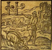 Picture 48 of 213 from Emblemata V.C. Andreae Alciati Mediolanensis iurisconsulti : cum facili & compendiosa explicatione, qua obscura illustrantur, dubiaq́ue omnia soluuntur, (1622), leaf 67
