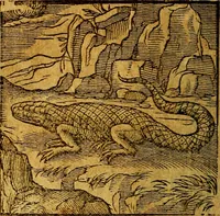An illustration from Emblemata V.C. Andreae Alciati Mediolanensis iurisconsulti : cum facili & compendiosa explicatione, qua obscura illustrantur, dubiaq́ue omnia soluuntur, (1622)