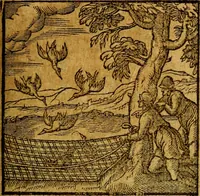 Picture 53 of 213 from Emblemata V.C. Andreae Alciati Mediolanensis iurisconsulti : cum facili & compendiosa explicatione, qua obscura illustrantur, dubiaq́ue omnia soluuntur, (1622), leaf 72