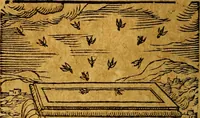 Picture 54 of 213 from Emblemata V.C. Andreae Alciati Mediolanensis iurisconsulti : cum facili & compendiosa explicatione, qua obscura illustrantur, dubiaq́ue omnia soluuntur, (1622), leaf 73