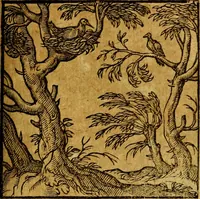 Picture 63 of 213 from Emblemata V.C. Andreae Alciati Mediolanensis iurisconsulti : cum facili & compendiosa explicatione, qua obscura illustrantur, dubiaq́ue omnia soluuntur, (1622), leaf 82