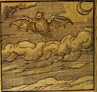 An illustration from Emblemata V.C. Andreae Alciati Mediolanensis iurisconsulti : cum facili & compendiosa explicatione, qua obscura illustrantur, dubiaq́ue omnia soluuntur, (1622)
