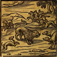 An illustration from Emblemata V.C. Andreae Alciati Mediolanensis iurisconsulti : cum facili & compendiosa explicatione, qua obscura illustrantur, dubiaq́ue omnia soluuntur, (1622)
