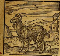 An illustration from Emblemata V.C. Andreae Alciati Mediolanensis iurisconsulti : cum facili & compendiosa explicatione, qua obscura illustrantur, dubiaq́ue omnia soluuntur, (1622)