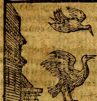 An illustration from Emblemata v. c. Andreae Alciati Mediolanensis iurisconsulti : cum facili & compe[n]diosa explicatione, qua obscura illustrantur, dubiáque omnia solvuntur (1584)