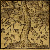 Picture 48 of 216 from Emblemata v. c. Andreae Alciati Mediolanensis iurisconsulti : cum facili & compe[n]diosa explicatione, qua obscura illustrantur, dubiáque omnia solvuntur (1584), leaf 108