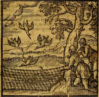 Picture 56 of 216 from Emblemata v. c. Andreae Alciati Mediolanensis iurisconsulti : cum facili & compe[n]diosa explicatione, qua obscura illustrantur, dubiáque omnia solvuntur (1584), leaf 124
