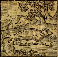 Picture 59 of 216 from Emblemata v. c. Andreae Alciati Mediolanensis iurisconsulti : cum facili & compe[n]diosa explicatione, qua obscura illustrantur, dubiáque omnia solvuntur (1584), leaf 130