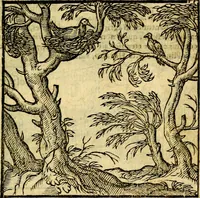 An illustration from Emblemata v. c. Andreae Alciati Mediolanensis iurisconsulti : cum facili & compe[n]diosa explicatione, qua obscura illustrantur, dubiáque omnia solvuntur (1584)