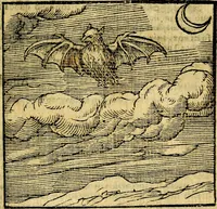Picture 67 of 216 from Emblemata v. c. Andreae Alciati Mediolanensis iurisconsulti : cum facili & compe[n]diosa explicatione, qua obscura illustrantur, dubiáque omnia solvuntur (1584), leaf 146