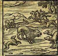 An illustration from Emblemata v. c. Andreae Alciati Mediolanensis iurisconsulti : cum facili & compe[n]diosa explicatione, qua obscura illustrantur, dubiáque omnia solvuntur (1584)