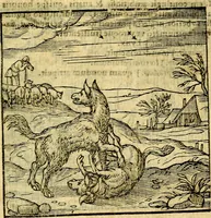 Picture 71 of 216 from Emblemata v. c. Andreae Alciati Mediolanensis iurisconsulti : cum facili & compe[n]diosa explicatione, qua obscura illustrantur, dubiáque omnia solvuntur (1584), leaf 156