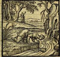 Picture 74 of 216 from Emblemata v. c. Andreae Alciati Mediolanensis iurisconsulti : cum facili & compe[n]diosa explicatione, qua obscura illustrantur, dubiáque omnia solvuntur (1584), leaf 162