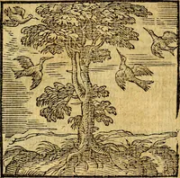 An illustration from Emblemata v. c. Andreae Alciati Mediolanensis iurisconsulti : cum facili & compe[n]diosa explicatione, qua obscura illustrantur, dubiáque omnia solvuntur (1584)