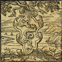 An illustration from Emblemata v. c. Andreae Alciati Mediolanensis iurisconsulti : cum facili & compe[n]diosa explicatione, qua obscura illustrantur, dubiáque omnia solvuntur (1584)