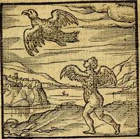 An illustration from Emblemata v. c. Andreae Alciati Mediolanensis iurisconsulti : cum facili & compe[n]diosa explicatione, qua obscura illustrantur, dubiáque omnia solvuntur (1584)